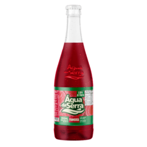 Refrigerante Água da Serra Framboesa 200 ml - 12 unidades